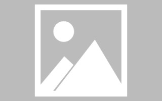 中山url网页设计（网页的url由哪三个部分构成?）